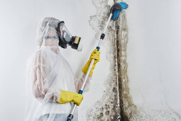 Water Damage Restoration in Notre Dame, IN