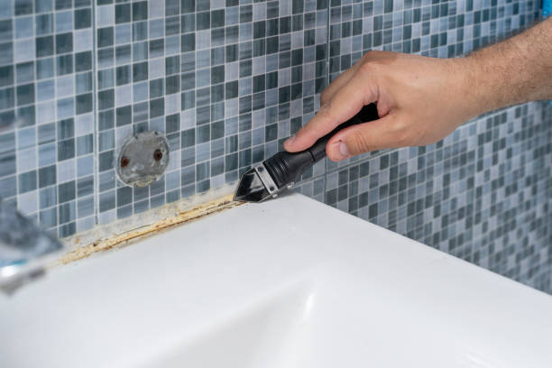 Mold Removal Process in Notre Dame, IN